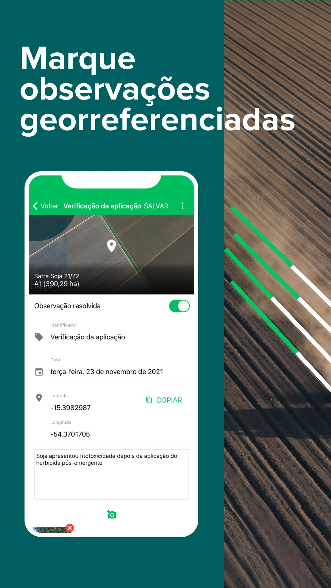 Aegro Campo screenshot